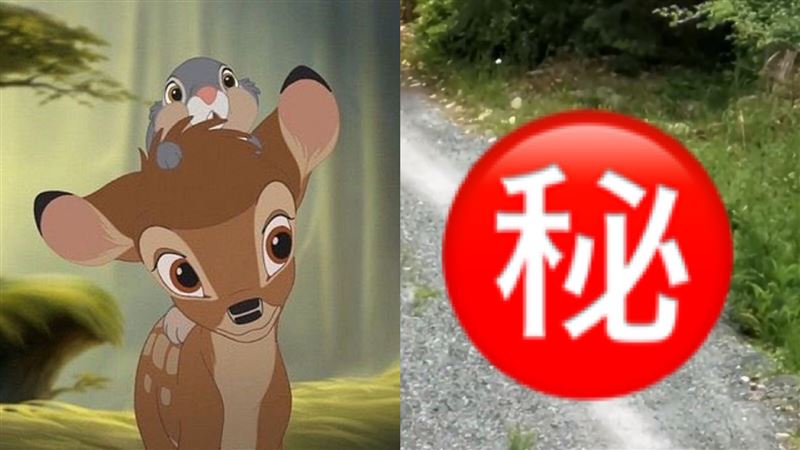 小鹿斑比真實版！鹿兔「黏TT」超萌