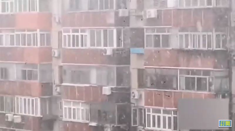 北京盛夏卻白雪飛舞　網一看秒想到她