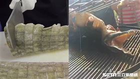 燒烤鱷魚／鱷魚廚房授權提供