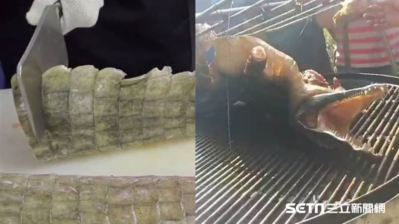 「小恐龍」遭火烤！台中鱷魚餐廳曝光