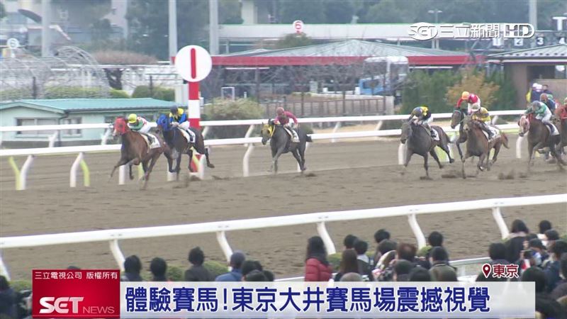 東京大井賽馬場　買馬券中英都會通