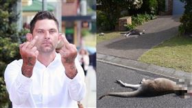 惡男駕車輾斃21袋鼠　有2隻剛出生
澳洲,袋鼠,圖拉海灘,屠殺,Ashley Sorenson
翻攝自推特