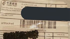 日本網友收到種子（圖／翻攝自推特）