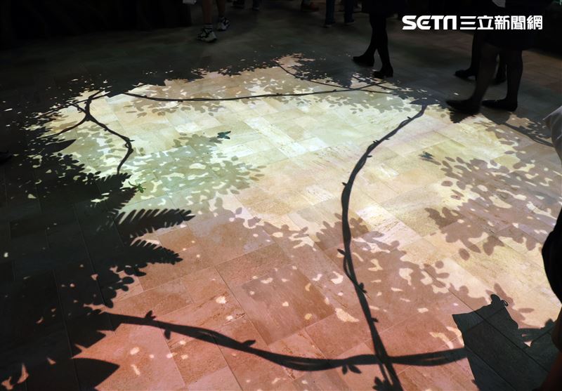 「Xpark 水族館」雨林森林。（記者邱榮吉/攝影）