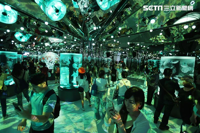 「Xpark 水族館」獨特的水母展區可以看到平常難得一見的品種。（記者邱榮吉/攝影）