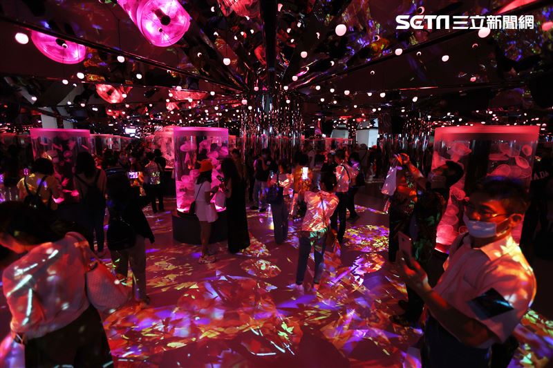 「Xpark 水族館」獨特的水母展區可以看到平常難得一見的品種。（記者邱榮吉/攝影）