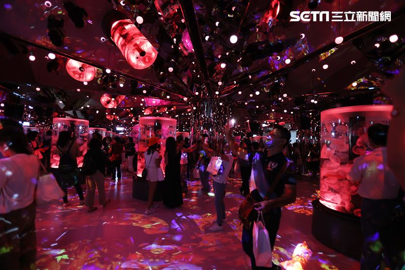 「Xpark 水族館」獨特的水母展區可以看到平常難得一見的品種。（記者邱榮吉/攝影）