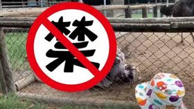 動物園,鴕鳥,做愛,拍照,活春宮
●【爆廢公社】●