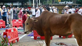 印尼穆斯林宰牲節聚禮穆斯林7月31日慶祝今年的宰牲節，因疫情關係，印尼政府鼓勵改到屠宰場宰殺獻祭牲口，而不像過去一樣在清真寺或社區內進行。圖攝於7月31日。中央社記者石秀娟雅加達攝　109年8月1日