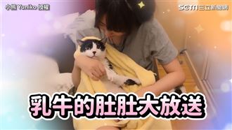 喵皇洗澡超爆走　美腿正妹5招收服牠