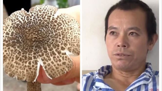 他撿到大蘑菇想加菜　卻險讓全家送命