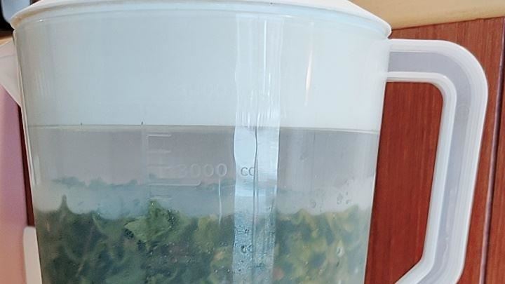 搞錯比例！他自製冷泡茶變「海帶湯」