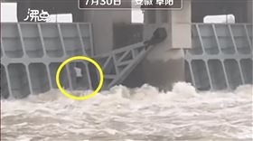 中國,安徽,豪雨,疏洪道,釣魚（圖／翻攝自沸點視頻）