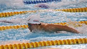 東奧模擬賽,游泳,王冠閎。（圖／記者劉家維攝影）