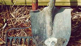 種田。(圖/Pixabay)