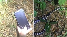 拿自拍棒合影眼鏡蛇…男遭噴毒液攻擊（圖／翻攝畫面）