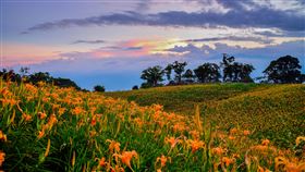 東方小瑞士絕美秘境。（圖／台鐵提供）