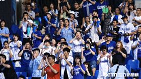 新莊棒球場悍將球迷。（圖／記者林聖凱攝影）