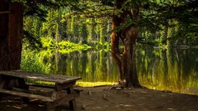 公園，湖泊，野餐，露營，湖邊（示意圖／翻攝自Pixabay）
