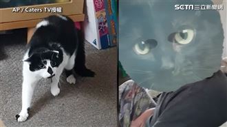 奴才戴超大面具　主子炸毛嚇出飛機耳