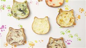  　名家專用／台灣旅行趣（勿用）
