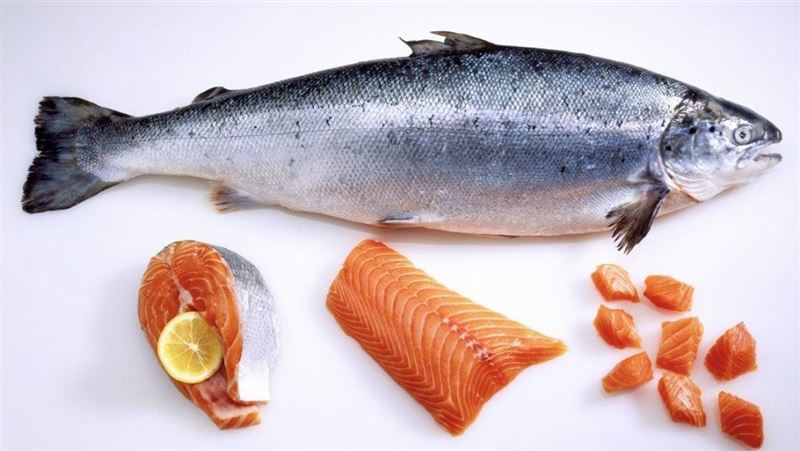 聽過「鮭魚蛋白聚醣」？營養師揭功效