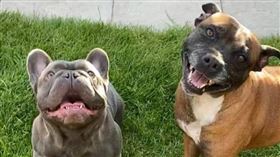 布魯斯與梅西成功趕跑4名綁匪。（圖／翻攝自magicm推特）