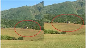 屁孩衝陽明山捉弄牛群　網友全都氣炸