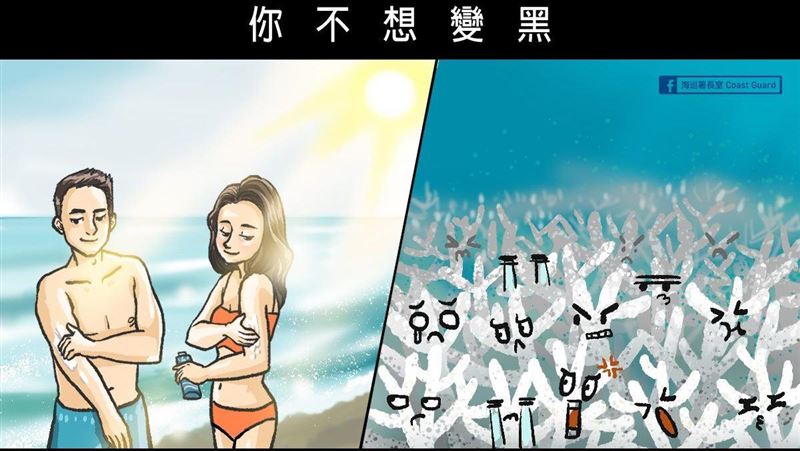 珊瑚致命毒藥！每年6千噸防曬流入海