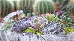 名家專用／台灣旅行趣（勿用）