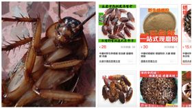 中國人什麼都能吃？淘寶驚見「可食蟑螂乾」　台灣人嚇傻，組合圖／翻攝自淘寶、Pixabay