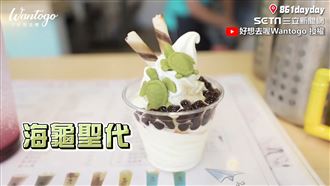 小琉球2日遊　5大景點激推海龜聖代