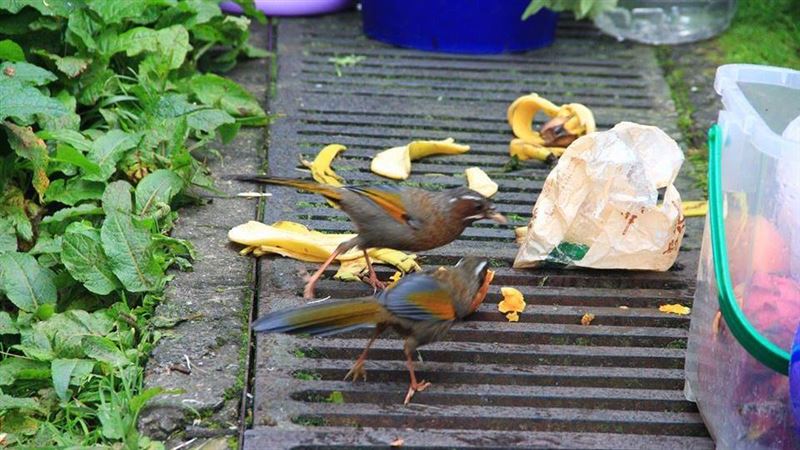 國家公園慘況曝光　網怒：台灣素質？