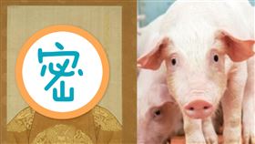 明武宗 禁豬令(合成圖)
