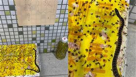 捕蚊捕到蛇。（圖／翻攝自爆廢公社公開版）