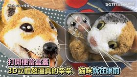 ▲日達人手作萌寵便當。（圖／46ch style授權）