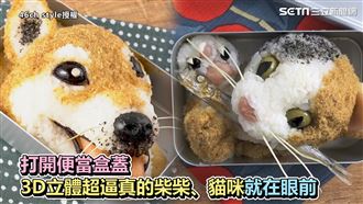 日達人手作萌寵便當　網：捨不得吃！