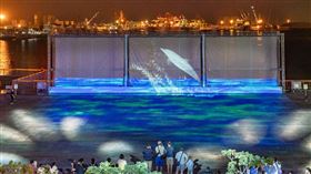 台中三井OUTLET暑假限定的3D水幕光影秀。（圖／業者提供）