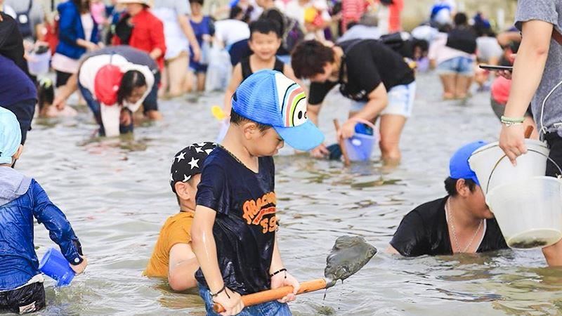 台南七股海鮮節　8/1盛大開幕