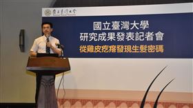 起雞皮疙瘩與生髮有關？台大研究揭密 圖/台大提供