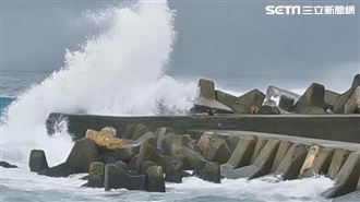 網美硬要拍！下秒瘋狗浪撲來超狼狽