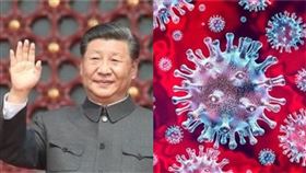 武漢肺炎（COVID-19，新冠肺炎）疫情還沒趨緩，但現在中國又傳出「新布尼亞病毒」（new bunyavirus），在今年至少62人感染（組合圖／翻攝資料照）