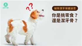 ▲翻攝自PetTalk官網