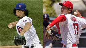 ▲小熊隊達比修有、天使隊大谷翔平。（組合圖／美聯社／達志影像）
