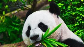  　名家專用／台灣旅行趣（勿用）
