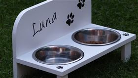 （圖／Pixabay）狗糧,狗飼料