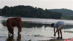 （圖／翻攝自中國青年報）