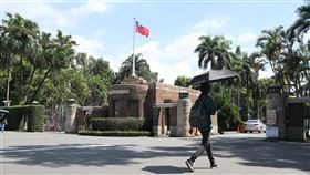 指考／專家估馬偕醫學將超越陽明牙醫，台大
圖／樂學網提供