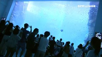 水族館開幕爆人潮　民眾：像搶票一樣