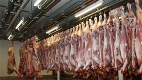 比利時史塔登市長6日表示，一間豬肉加工廠至少有50位員工接受2019冠狀病毒疾病檢測呈陽性。（示意圖／圖取自Pixabay圖庫）